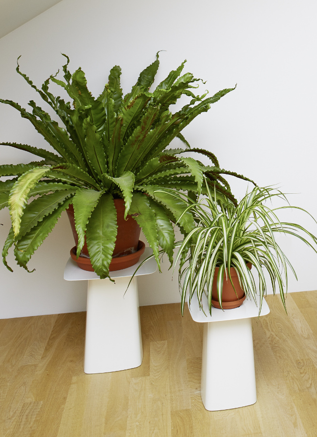 开云（中国） - 桌几|茶几/边几|办公家具|设计师家具|Wooden 边几